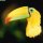 tucan74class=