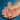 foreskin