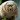waterbear