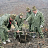 Ni un árbol de los 45 millones prometidos por el Gobierno