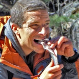 Bear Grylls, el farsante que te costará la vida