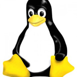 Linux no conoce la crisis