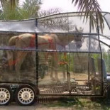 15 vehiculos curiosos