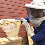 Bacterias genéticamente modificadas producen polipéptidos para administrar quimioterapia a nanoescala (ING)