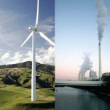 Los molinos eólicos matan menos aves que las centrales térmicas