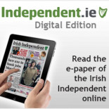 Asombro en la comunidad cientifica por la aparición de miles de estrellas de mar muertas
