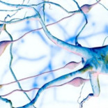 ¿Por qué los fantasmas llevan una sábana y cadenas?