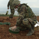Científicos desarrollan una bacteria que se ilumina ante la presencia de minas antipersonales
