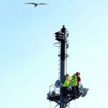 Greenpeace pide a Zapatero que deje de subvencionar con dinero público la principal fuente del cambio climático