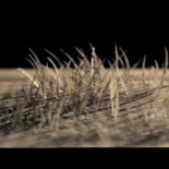 Hermoso cortometraje hecho con papel [ENG]