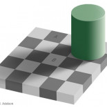 "No es una ilusión óptica, es que tu cerebro falla"