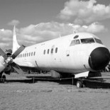 "Las personas pedían por favor y luego iban cayendo como hormiguitas al mar”