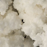 Smart Sponge: esponja capaz de absorber únicamente hidrocarburos