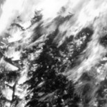 Diferencias entre las ayudas a la investigación y al cine