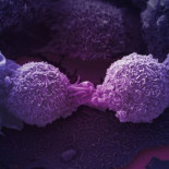 Cada 15 cigarrillos, una mutación genética en un fumador