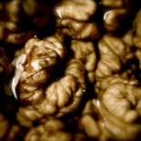 Se demuestra que es posible intercambiar información cerebro a cerebro