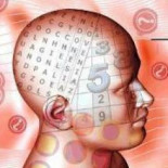 Internet mejora el funcionamiento del cerebro