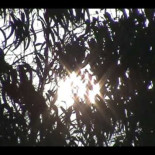 ¿Qué harías si hoy fuera el último día de tu vida?