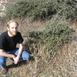 La planta viva más antigua del planeta: 13.000 años