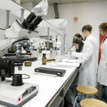 España cierra la puerta a los jóvenes científicos