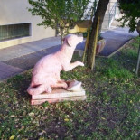 Lampo, el perro que tomaba trenes