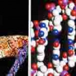 El mayor estudio genético sobre el cáncer de páncreas localiza dónde está el mayor riesgo