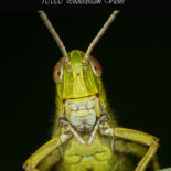 ¡Ey! ¿A quién estás fotografiando?