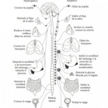 En bici y tragando humo por la ciudad