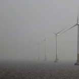 Los ecologistas apoyan los parques eólicos marinos