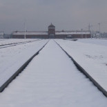 Auschwitz también alojó españoles