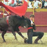 Cangas, primer municipio gallego antitaurino