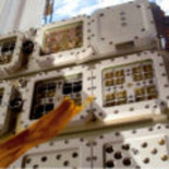 El liquen Xanthoria elegans sobrevive 18 meses a la radiación, rayos y temperaturas del espacio (ING)