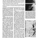 El día que Nessie salió en 'Nature'