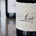 "Anda, mamá, púdrete". Un niño tirano puede ser un futuro maltratador