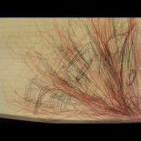 Una breve historia de prácticamente todo [HUMOR]