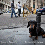 Mira la ISO al comprar una cámara, no los megapíxeles…