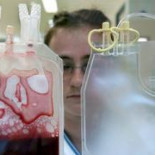 800 cordones umbilicales donados por embarazadas de Granada curan ya patologías en todo el mundo