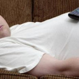 Una hora de siesta «espabila» la mente y nos hace más listos