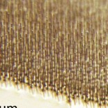 Células solares "peludas" (98% de plástico, 96% de absorción de luz)