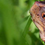 Trucos que usan los casinos para que te quedes