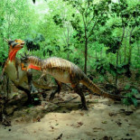 Confirmado: un meteorito provocó la extinción de los dinosaurios