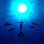 Japón se defiende del documental ganador del Oscar "The Cove" que denuncia la caza de delfines