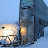 "El Arca de Noé" de las semillas se convierte en el mayor depósito mundial con más de 500.000 muestras (ING)