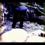 Las granjas de cadáveres de Estados Unidos.(Fotos explicitas)