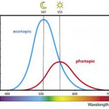 El efecto Purkinje: Como ve nuestro ojo en la oscuridad