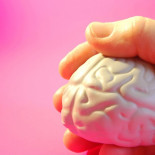 Las abejas ven supercolores a supervelocidad, casi cinco veces más rápido que los humanos (ING)