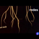 Blasa entrevistada por Punset: “El Universo se expande por avaricia”