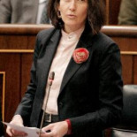 Los internautas  llevarán al Constitucional la 'ley Sinde'