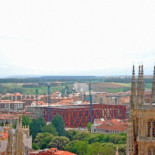 Talarán árboles porque no les dejan ver la catedral de Burgos