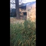 ¿Sabías que el color verde es tóxico y no ecológico?